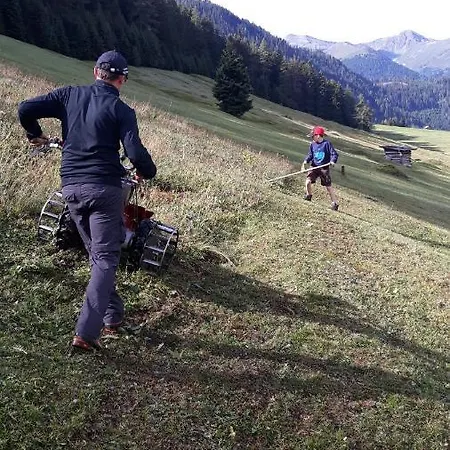 Alblerhof Apartament