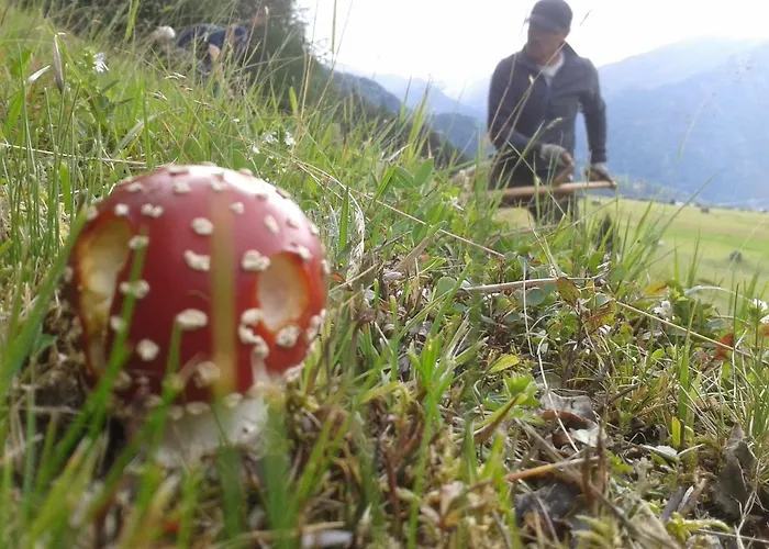 דירה Alblerhof פונדס