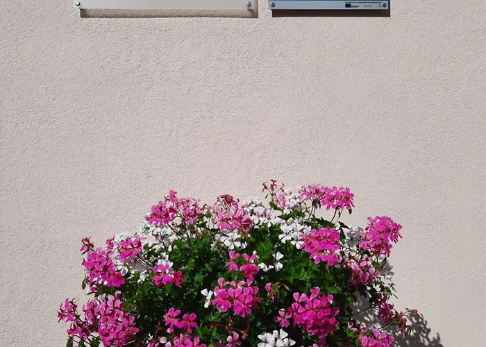 Apartmán Alblerhof *