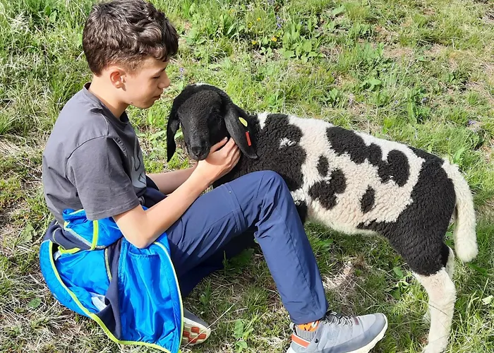 Alblerhof Apartmán *