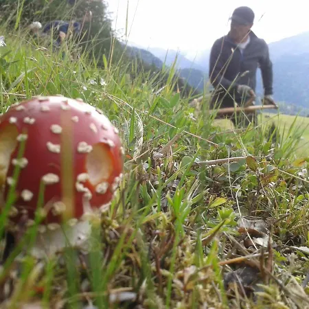 דירה Alblerhof פונדס