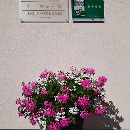 דירה Alblerhof *